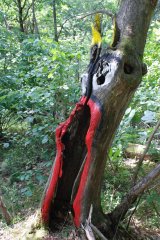 larbreapalots2.jpg - 